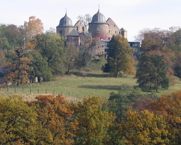 im Hintergrund Schloss Sababurg, im Vordergrund Wiese im Tierpark Sababurg im Hintergrund Schloss Sababurg, im Vordergrund Wiese im Tierpark Sababurg