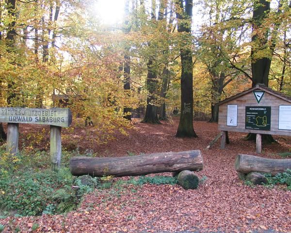 Infotafel im Tierpark Sababurg Hofgeismar Infotafel im Tierpark Sababurg Hofgeismar