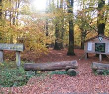 Infotafel im Tierpark Sababurg Hofgeismar Infotafel im Tierpark Sababurg Hofgeismar