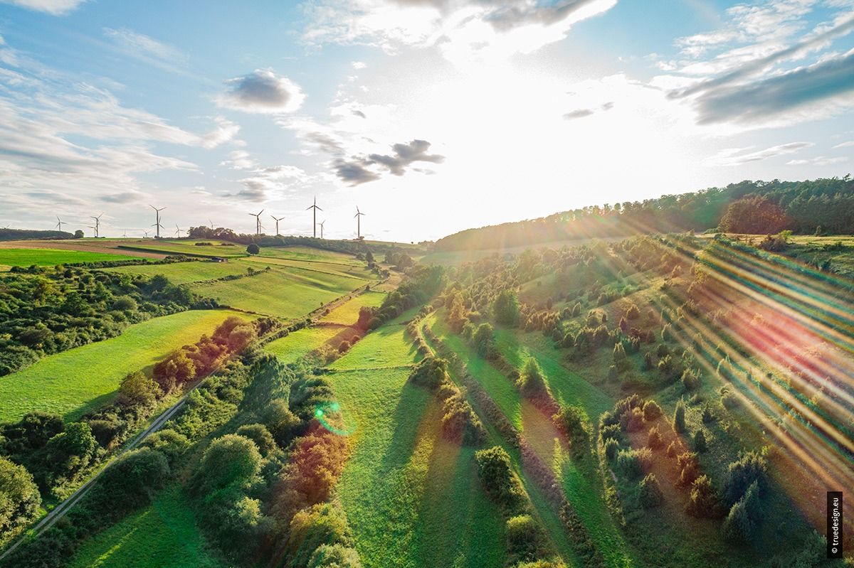 Wachholderheiden am Sommerberg bei Sielen Wachholderheiden am Sommerberg bei Sielen