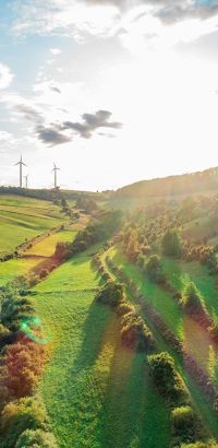 Wachholderheiden am Sommerberg bei Sielen