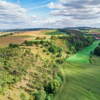 Kalkmagerrasenflächen bei Warburg-Dalheim Kalkmagerrasenflächen bei Warburg-Dalheim
