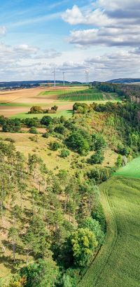 Kalkmagerrasenflächen bei Warburg-Dalheim Kalkmagerrasenflächen bei Warburg-Dalheim