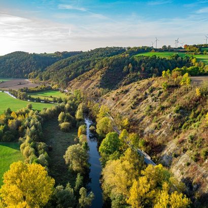 Kalkmagerrasenflächen bei Liebenau Kalkmagerrasenflächen bei Liebenau