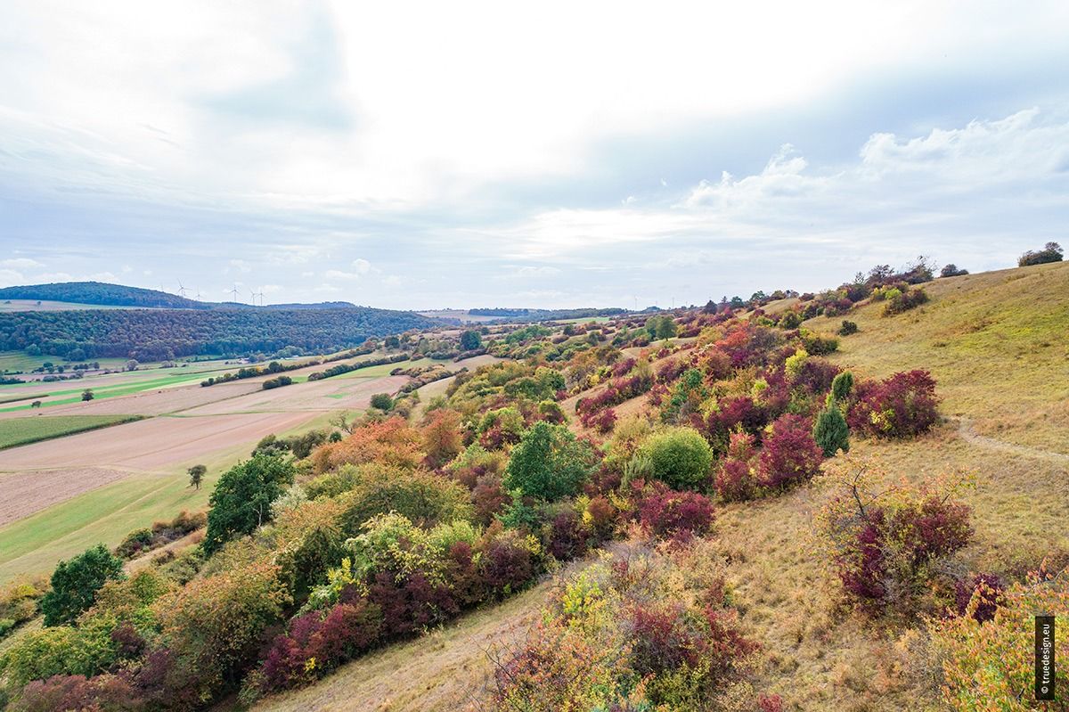 Kalkmagerrasen bei Trendelburg-Deisel Kalkmagerrasen bei Trendelburg-Deisel