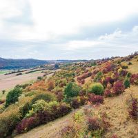 Kalkmagerrasen bei Trendelburg-Deisel Kalkmagerrasen bei Trendelburg-Deisel