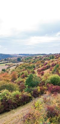 Kalkmagerrasen bei Trendelburg-Deisel Kalkmagerrasen bei Trendelburg-Deisel