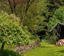 Wiese Ferienwohnung Lindenhof Willingen-Usseln 