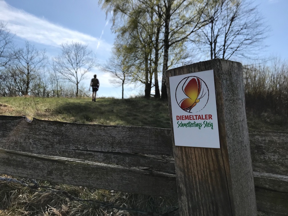Wandern auf dem Schmetterlingssteig,  Foto: Naturpark Teutoburger Wald e.V.